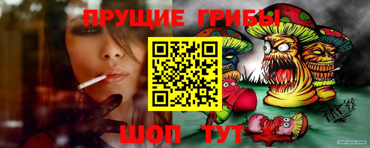 где купить наркоту  Галлюциногенные грибы Cubensis  Вход с VPN  Ноябрьск 